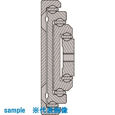 緑であること活動の領域