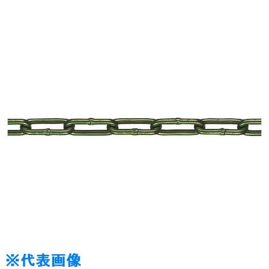 緑であること活動の領域