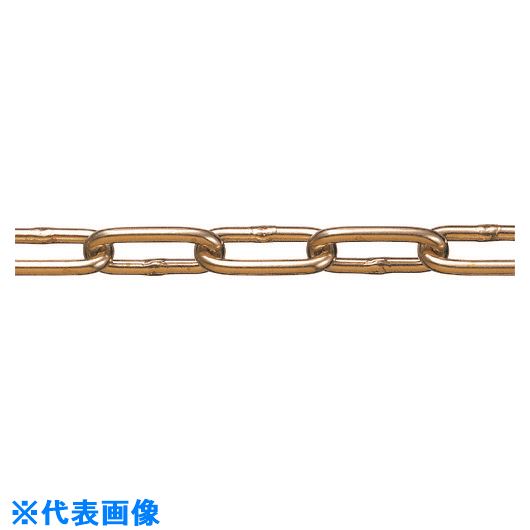 緑であること活動の領域