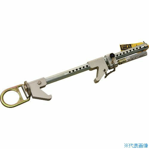緑であること活動の領域