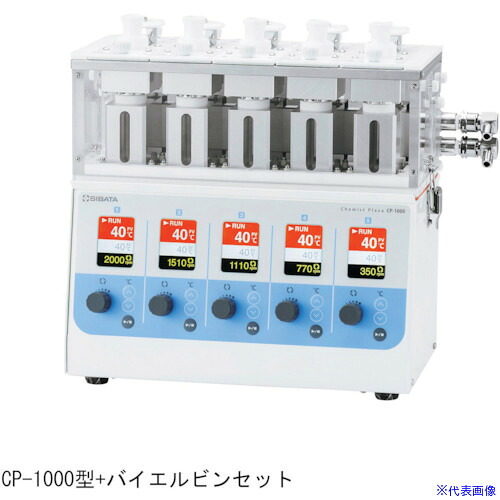 緑であること活動の領域