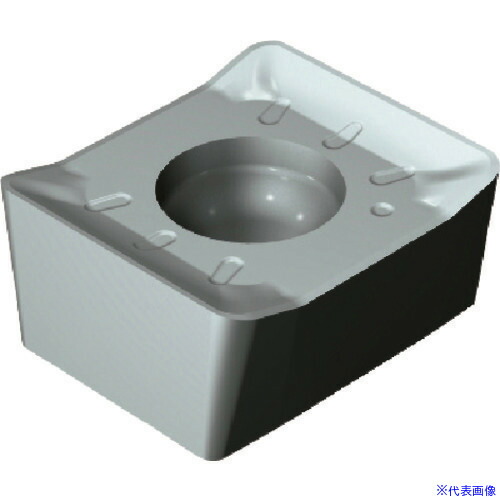 緑であること活動の領域