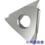 ■GUHRING 溝入れ工具 インサート 外径ねじ切り さらい刃付き メートルねじ用 GG305.VM00.250.AA.04.L 2566712.060(1804284)×2[送料別途お見積り][法人限定][掲外取寄]