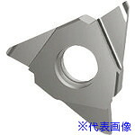 ■GUHRING 溝入れ工具 インサート 内外径フルR溝入れ加工用 GE305.0250.125.AA.04.N 2561512.011(1804788)×2[送料別途お見積り][法人限定][掲外取寄]