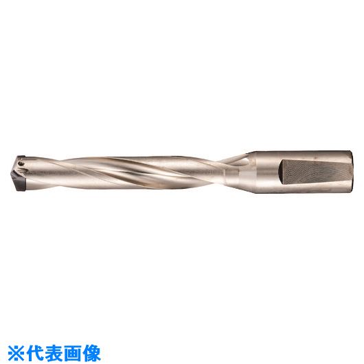 緑であること活動の領域 穴あけ工具用アクセサリー-花・ガーデン・DIY-電動・エア工具用アクセサリー