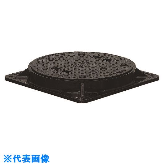 緑であること活動の領域