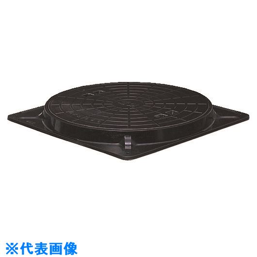 緑であること活動の領域