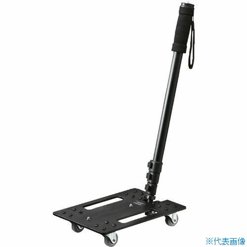 緑であること活動の領域