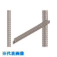 ■Nito FCXシステムレール FCX21－Z12AF1 2個入り1セット FCX21Z12AF1(2114982)[法人限定][外直送元]