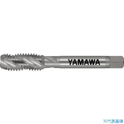 緑であること活動の領域
