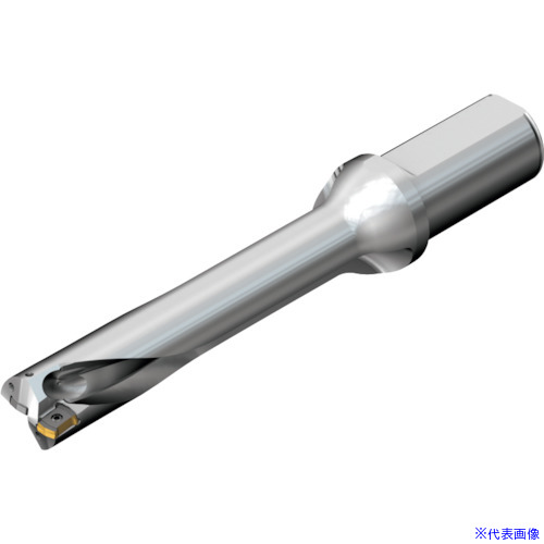 ■SANDVIK コロドリルDS20刃先交換式ドリル(465) DS20D3650LX3805(2162585)[送料別途お見積り][法人限定][メーカー取寄]｜ファーストFACTORY