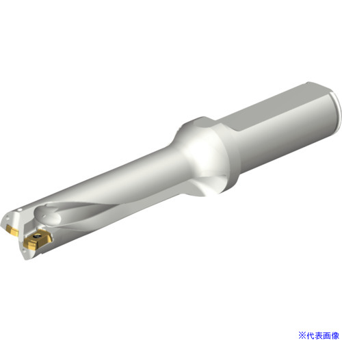 緑であること活動の領域