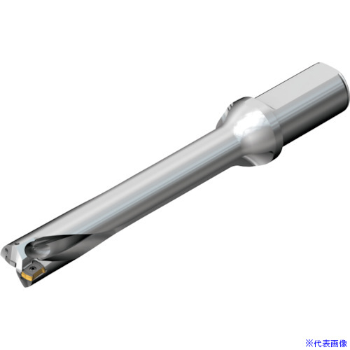 ■SANDVIK コロドリルDS20刃先交換式ドリル(465) DS20D3175LX3806(2165685)[送料別途お見積り][法人限定][メーカー取寄]｜ファーストFACTORY