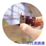 緑であること活動の領域