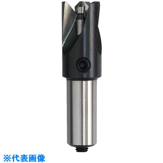 ■WEBA カウンターシンク No.P19090－0 90°3枚刃 HSS パイプ内面・外面専用 φ16 P19090016.0(2285173)