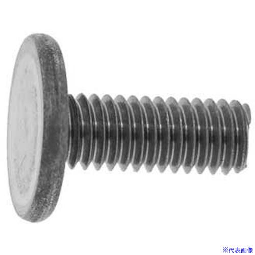 ■SUNCO クロメ-ト大平小ネジ 6×16 (500本入) 0000080C0060016002(2314362)[送料別途見積り][法人・事業所限定][掲外取寄]