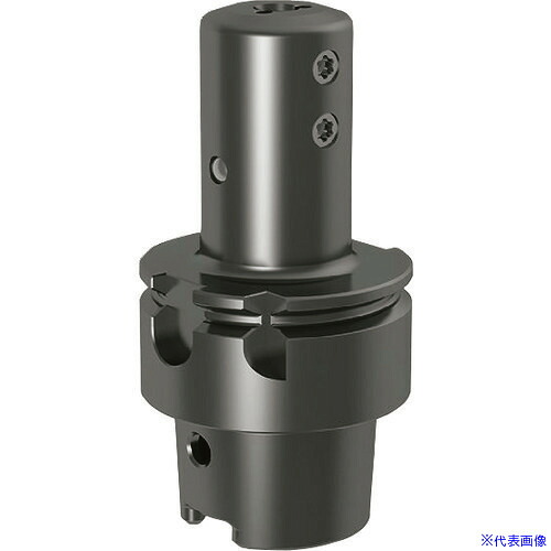 ■GUHRING 溝入れ工具 HSK-T ホルダ ISO 12164-3・ストレート 0° レギュラ- GH106.HS63.063.00.22.N.IK 253116.002(2344445)[送料別途お見積り][法人限定][掲外取寄]