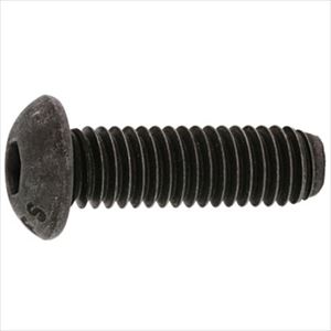 ■SUNCO SUSボタンCAP(UNC#8－32X1”(100本入) A00210307080810000(2411002)[送料別途お見積り][法人限定][掲外取寄]