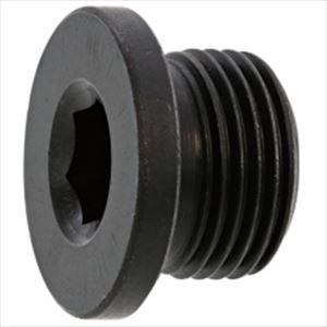 ■SUNCO NSフランジプラグ G 3/4 (25本入) A00057508060000000(2411933)[送料別途お見積り][法人限定][掲外取寄]