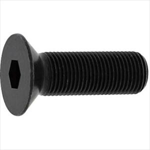■SUNCO SUSサラCAP 細目P\u003d1.25 10×15 (100本入) A00220040100015000(2413806)[送料別途お見積り][法人限定][掲外取寄]