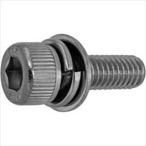 ■SUNCO ステンCAP P\u003d3 岸和田ステンレス製 8×30 (100本入) A002903S0080030000(2420290)[送料別途お見積り][法人限定][掲外取寄]