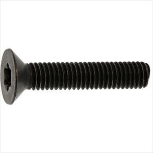 ■SUNCO ステンレス TORX&minus;サラCAP DIN規格 4&times;16 (1000本入) A002T2000040016000(2430345)[送料別途お見積り][法人限定][掲外取寄]｜ファーストFACTORY