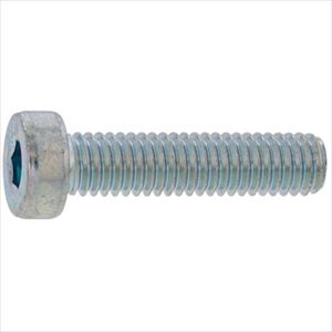 ■SUNCO ローヘッドCAP 10 X 55 (70本入) A000L0000100055000(2434295)[送料別途お見積り][法人限定][掲外取寄]