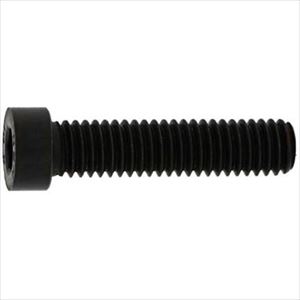 ■SUNCO 小頭ローヘッドCAP 10×16 (100本入) A000L0500100016000(2434334)[送料別途お見積り][法人限定][掲外取寄]