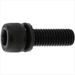 ■SUNCO 10.9GT&minus;S CAP 10 X 35 (100本入) A0009S000100035000(2434508)[送料別途お見積り][法人限定][掲外取寄]｜ファーストFACTORY