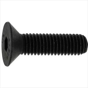 ■SUNCO ロックウェル サラCAP アンブラコ 3×8 (200本入) A000200P0030008085(2473923)[送料別途お見積り][法人限定][掲外取寄]