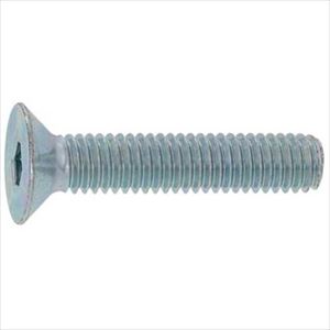 ■SUNCO 無電解NI サラCAP(TKS 4×6 (1000本入) A000200T0040006022(2475525)[送料別途お見積り][法人限定][掲外取寄] 13,145円