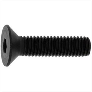■SUNCO サラCAP(左ネジ 10×20 (100本入) A00020200100020000(2486659)[送料別途お見積り][法人限定][掲外取寄]