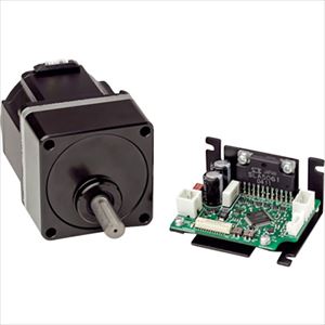 緑であること活動の領域
