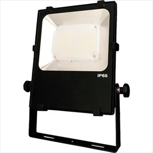 ■NIKKI LED投光器 28W AC100－120V NLFL30ACS3MP(2533137)[送料別途お見積り][法人限定][掲外取寄]