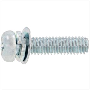■SUNCO 組込みねじ (+)ナベP＝4(鉄(または標準)・三価ホワイト) M3.5×7(2000本入) 100000040035007003(2624821)[送料別途お見積り][法人限定][掲外取寄]