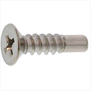 ■SUNCO ステン(+)BRPサラ 5×25(G＝5 (500本入) 210205010050025000(2628540)[送料別途お見積り][法人限定][掲外取寄]