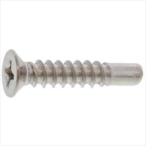■SUNCO BK ステン(+)BRPサラ( D＝7 4&times;25(G＝5 (1000本入) 2102050H0040025008(2633318)[送料別途お見積り][法人限定][掲外取寄]｜ファーストFACTORY