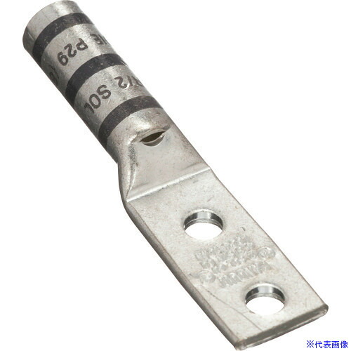 ■PANDUIT 銅製圧縮端子 2穴 電線サイズ AWG4 取付穴サイズ 135mm 取付穴間隔 445mm LCC4&minus;12W&minus;L LCC412WL(2668548)[送料別途お見積り][法人限定][掲外取寄]｜ファーストFACTORY