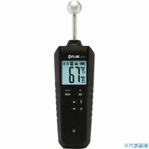 緑であること活動の領域