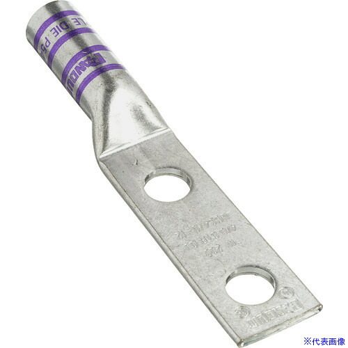 ■PANDUIT 銅製圧縮端子 2穴 電線サイズ AWG4/0 取付穴サイズ 104mm 取付穴間隔 254mm LCC4/0&minus;38DW&minus;X LCC4038DWX(2689535)&times;2[送料別途お見積り][法人限定][掲外取寄]｜ファーストFACTORY
