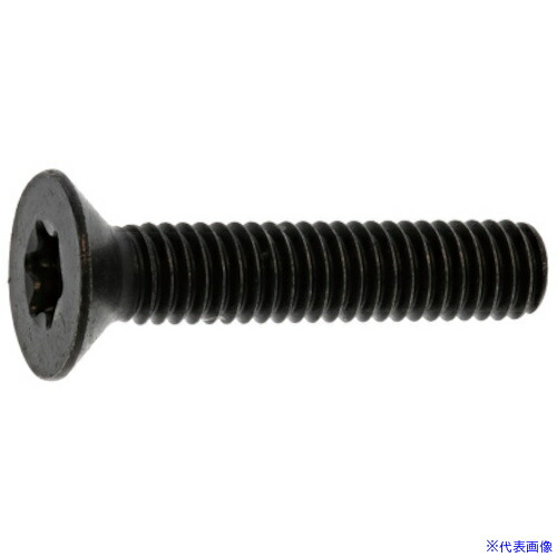 ■SUNCO TORX-サラCAP 新JIS 5×12 (1000本入) A000T2J00050012000(2708029)[送料別途お見積り][法人限定][掲外取寄]