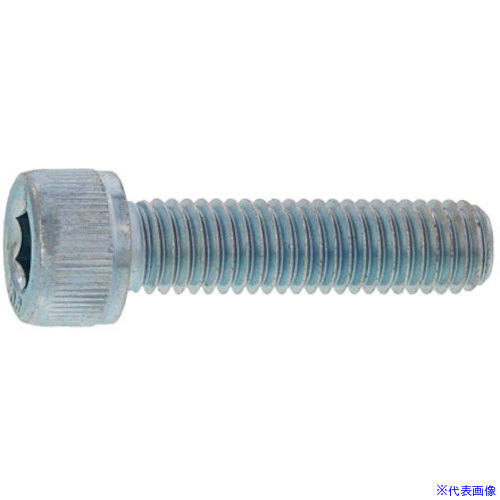 ■SUNCO 黒ニッケル CAP 2.6×10 (500本入) A00000000026010021(2715739)[送料別途お見積り][法人限定][掲外取寄]