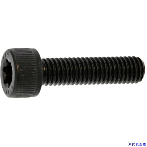 ■SUNCO ステンTORX-CAP 10×35 (100本入) A002T0000100035000(2715896)[送料別途お見積り][法人限定][掲外取寄]