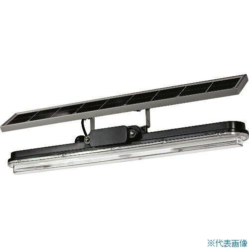 緑であること活動の領域