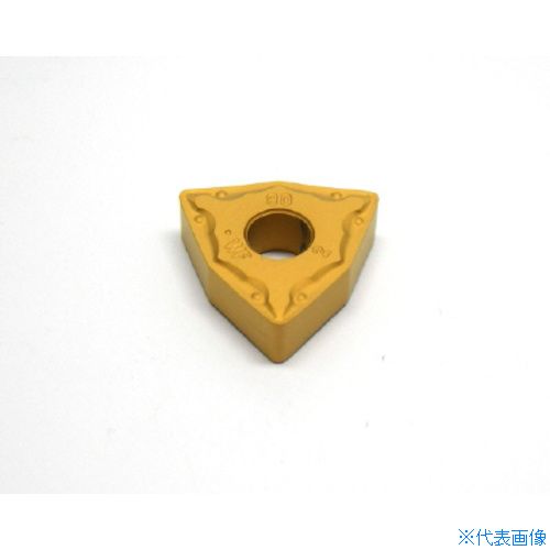 緑であること活動の領域