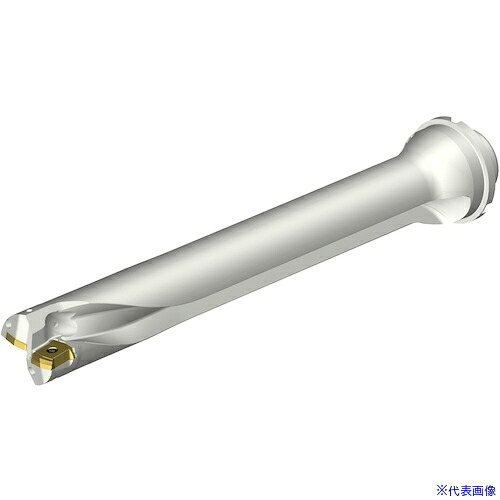 ■SANDVIK コロドリルDS20刃先交換式ドリル(465) DS20D4100DM4007(3392526)[送料別途お見積り][法人限定][メーカー取寄]｜ファーストFACTORY