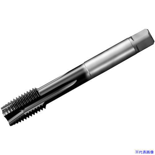 ■SANDVIK コロタップ200 ポイントタップ(780) P1PM T200PM109DAM18(P1PM)(3512698)[送料別途お見積り][法人限定][掲外取寄]
