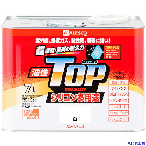 緑であること活動の領域
