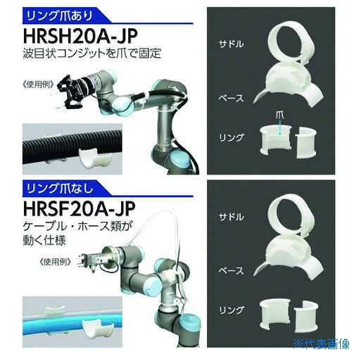 緑であること活動の領域