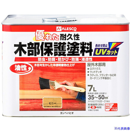 緑であること活動の領域